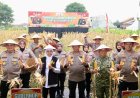 Polda Jatim Gelar Panen Raya Jagung Serentak Kuartal IV di Sidoarjo